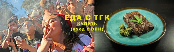 мдпв Ельня